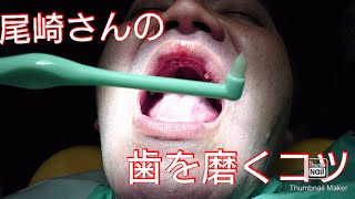 【尾崎さんの歯を磨いてみたい方向け歯磨きレッスン】ブラッシング法、タフト仕上げ、歯間ブラシの使い方まで