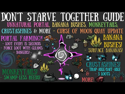 Unnatural Portal, Banana Bushes, Monkeytails & More - Curse of Moon Quay - Don't Starve Together