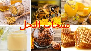 منتجات النحل غذاء ودواء: غذاء ملكات النحل, حبوب اللقاح, العسل, العكبر, خبز النحل#منتجات_النحل#العسل