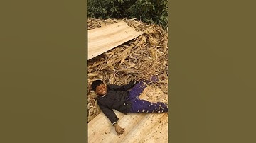 गजबएक्शन शॉट#acting #acting #actionfilm #actiongenre