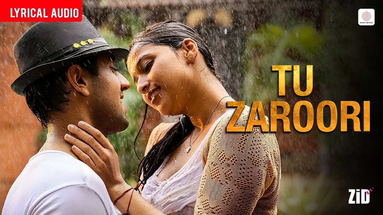 Tu Zaroori - Audio Lyrical | Karanvir Sharma | Mannara | Sunidhi Chauhan | Sharib Sabri | Zid