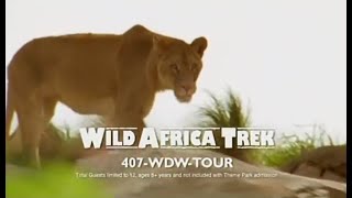 Disneys Wild Africa Trek Commercial