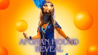 AFGHAN HOUND REVEAL | THE MASKED SINGER US