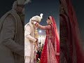 cute couple#wedding#shortvideo