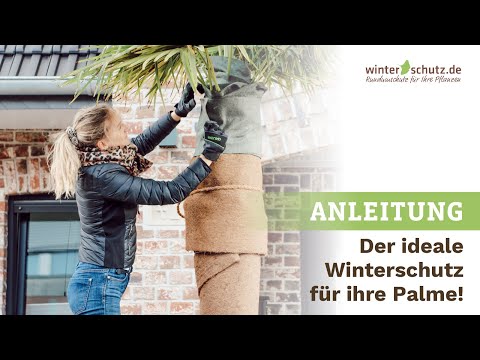 Video: Winterschutz für Palmen - So wickeln Sie Palmen für den Winter ein