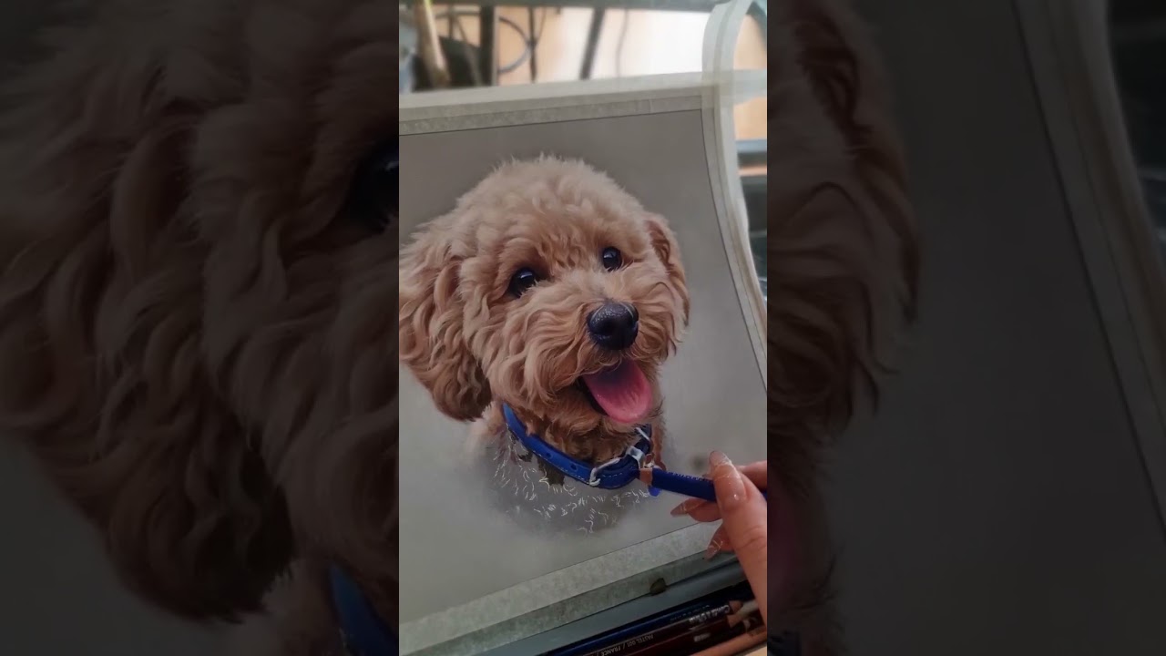 Ted! pastels on pastelmat paper. 8 hours in 30 secs!