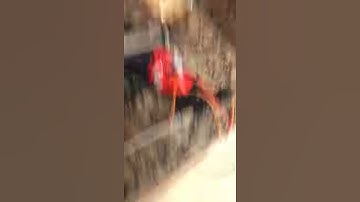 Working software for paintball sentry gun