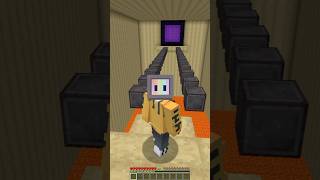 IMPOSSIBLE PORTAL RACE VS CHAPATI