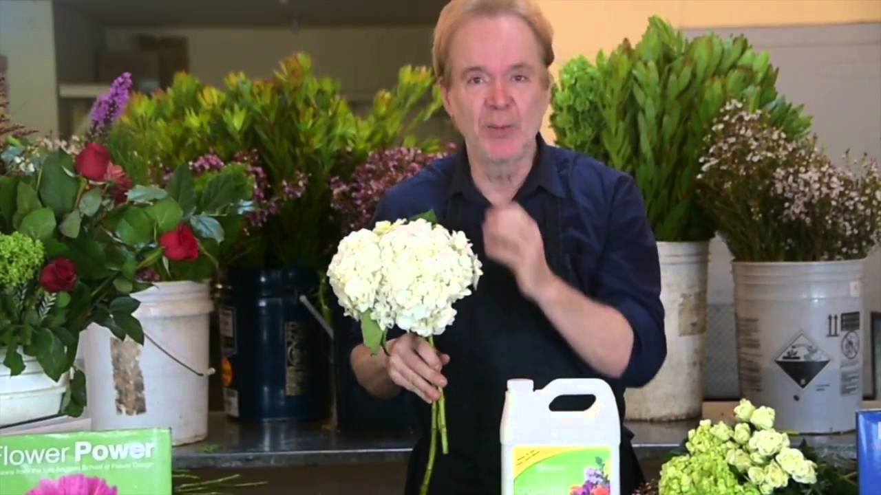 Getting Your Flowers to Last for Weeks with Michael Gaffney