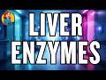 Liver Enzymes Explained: ALT AST ALP GGT (Medical Revision Song)