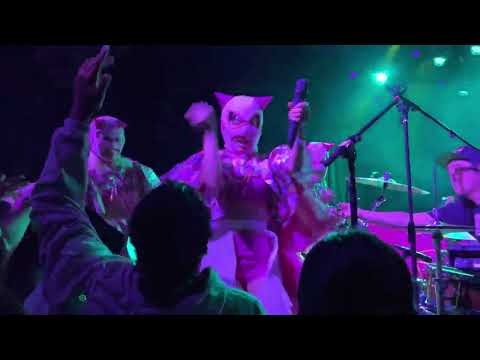 CHAI - Action (Live in Los Angeles 9/20/22)