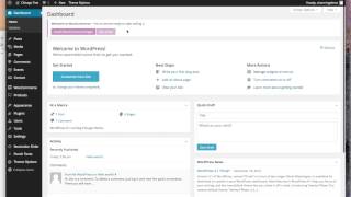 Details [Chicago Theme] - One Click Demo Data Importer Guide