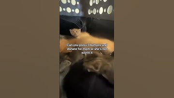 For any support, click the link in our bio to donate. Every pledge is gratefully appreciated.