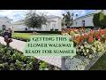 Transitioning a beautiful flower walkway with summer flowers