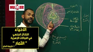 الأحياء | الثمار | أ.خزيمة الحاج | حصص الشهادة السودانية