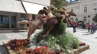 A day in Merano, Italy | Vlog 07