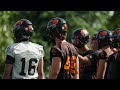 Roar Report: BC Lions Week 15 Game Preview vs Montreal