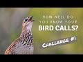 How well do you know your Southern African bird calls? | Challenge no.1