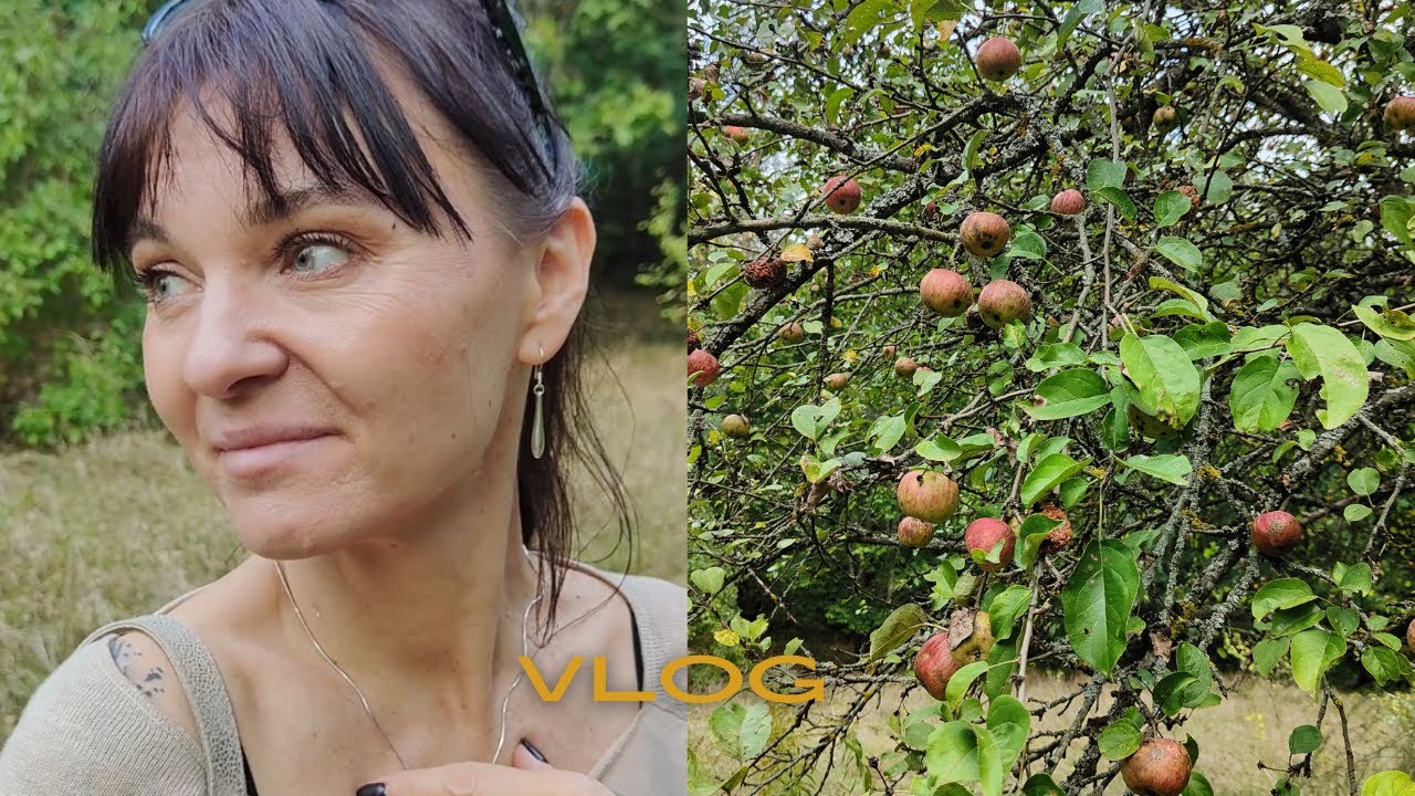 Ełk nocą... Gość na rowerze...Grzech zaniechania  ... Pogadanka pod starą jabłonką ;-) Vlog...