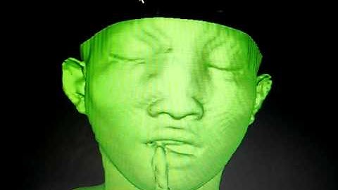 VTK Visualization Isosurface Human Head 1