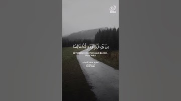 والله أنزل من السماء ماء - محمد اللحيدان #تلاوه #تلاوات #المصحف #القرآن_الكريم #القرآن #آيات