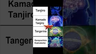 Demon Slayer Memes 💀
