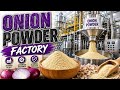 Inside the massive onion powder factory. (From farm to powder| complete process)