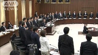 国民投票法案が憲法審査会で可決　「成立」確実に(14/05/08)