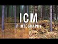 Icm photography tutorial  intentional camera movement