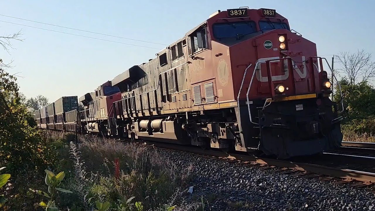 CN 3837 at Darlington (SEP 19/24) - YouTube