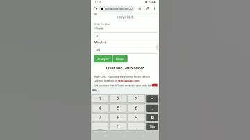 Body Clock - Calculate the Working Hours of Each Organ in the Body on WebAppNinja.com