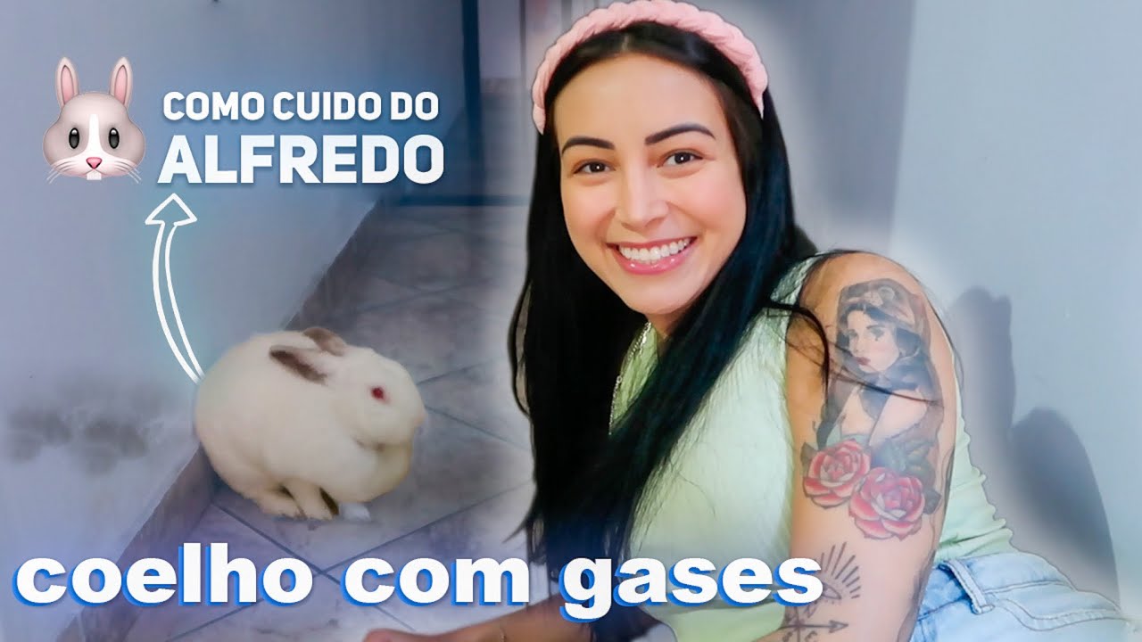 MEU COELHO PAROU DE COMER! COMO CUIDO? 🐰