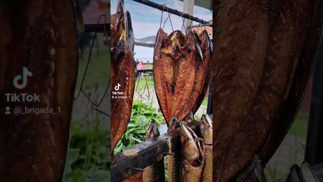 ❌❌Preila Lithuania ВЛЮБЛЕНЫМИ ГЛАЗАМИ, на Выходные в Литву c Владимиром