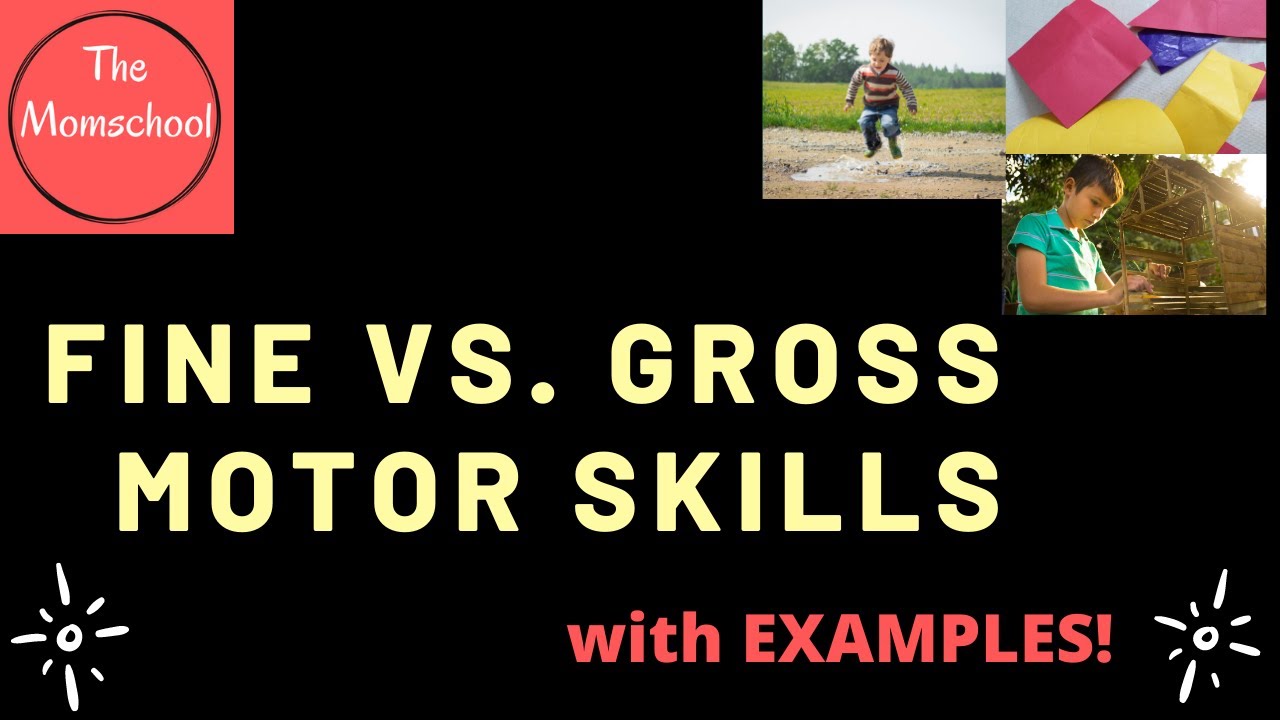 What Are Fine Motor And Gross Motor Skills what s The Difference 