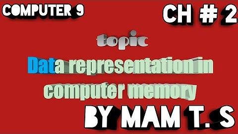 Data representation in computer memory | 9 computer new book chapter 2