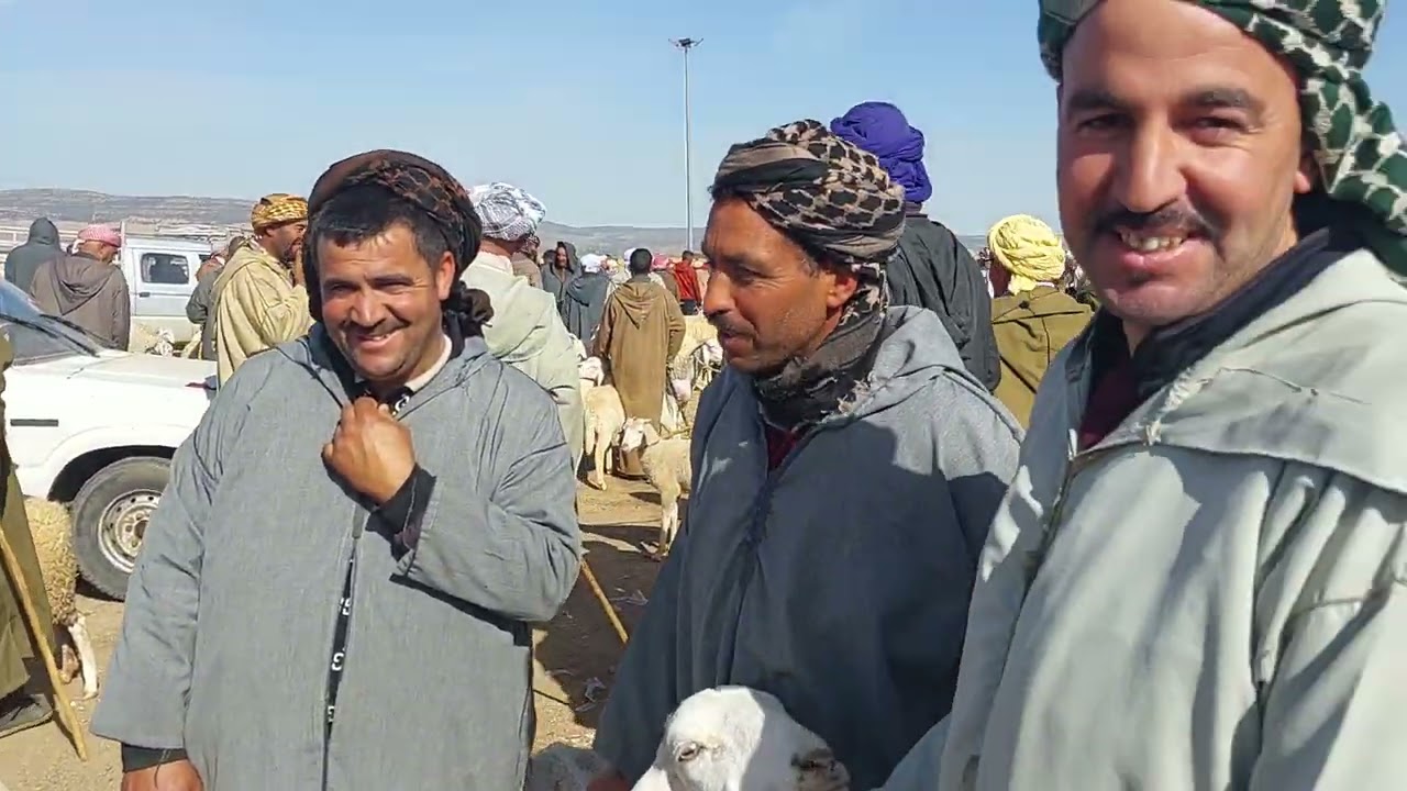 سوق مواشي🐏 ولاية سعيدة  يوم 23/04/2023