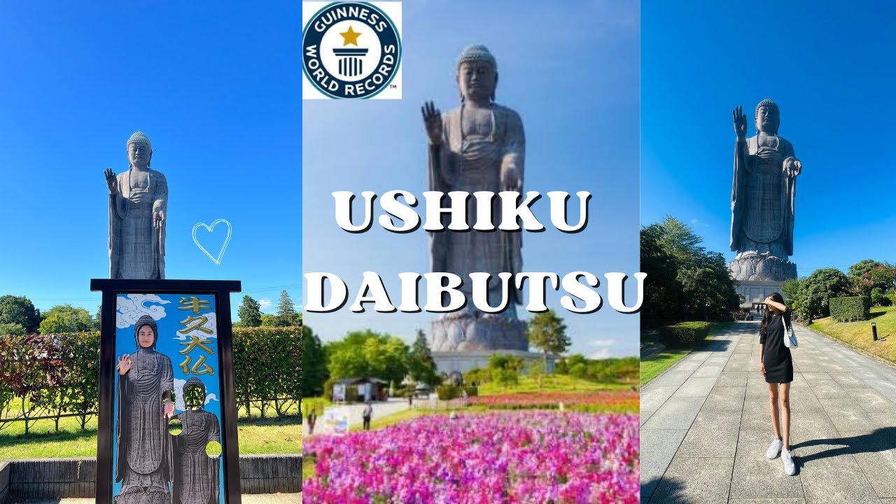 World Guinness record ( tallest Buddha statue) //chhayaO YouTube