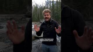 😀 Маразм крепчал, деревья гнулись. 👉 Подробнее смотрите тут @varlamov ЧП 295