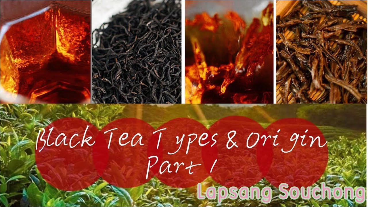 Chinese Black Tea Types & Origin Part I | Lapsang souchong #Chinese Tea#Brew#Caffeine #正山小种 #中国红茶