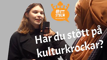 Vad händer i ett kulturmöte Vilka faktorer påverkar ett kulturmöte?