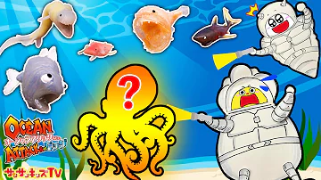 海の大冒険！深海を探検して伝説の生き物を発見せよ！探検ごっこ・デアゴスティーニ【オーシャンアタック&Co.（アンドコ） ビッグ】子供向け知育教育★サンサンキッズTV★