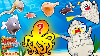 海の大冒険！深海を探検して伝説の生き物を発見せよ！探検ごっこ・デアゴスティーニ【オーシャンアタック&Co.（アンドコ） ビッグ】子供向け知育教育★サンサンキッズTV★