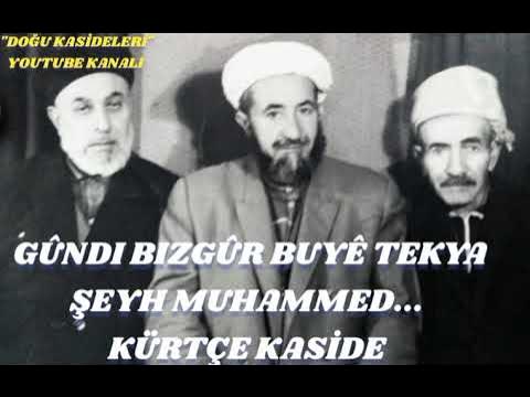 Katta tabiiy kokrakli qora tanli ayollar Yalangoch qiz eshagida sik bilan