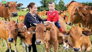 con bò - nhạc con bò remix - cow dance - dace cow - nhạc con bò  tổng hợp vui nhộn