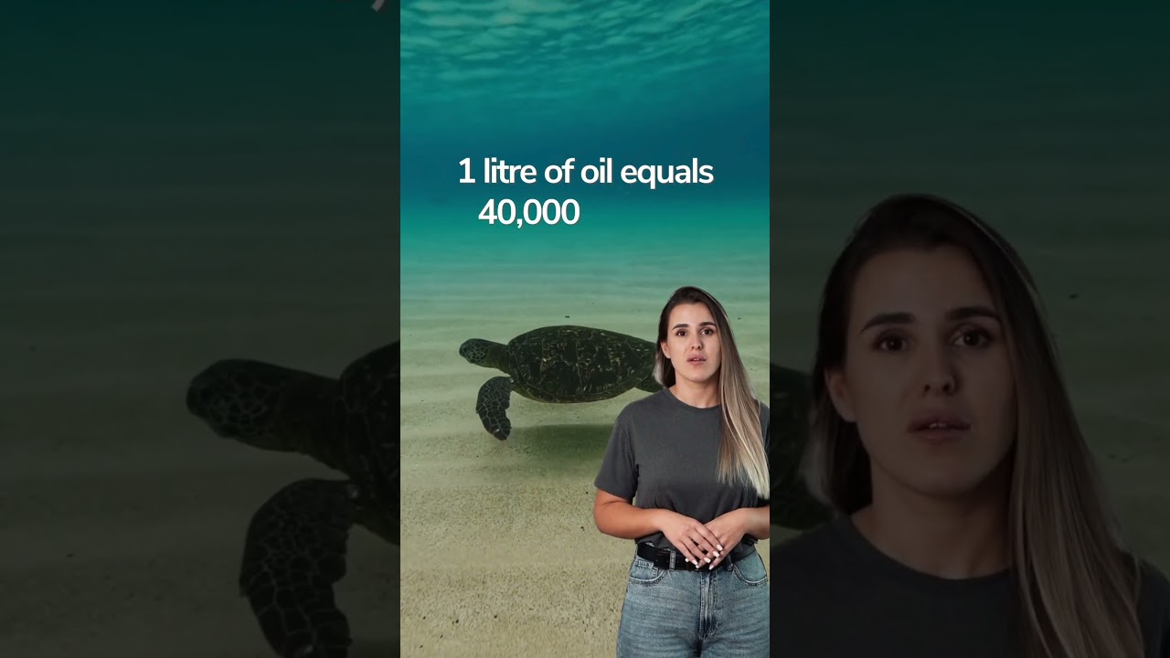 Every time you pour oil down the sink, you harm the aquatic ecosystem. 