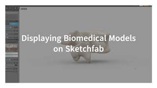 Displaying Biomedical Models on Sketchfab screenshot 2