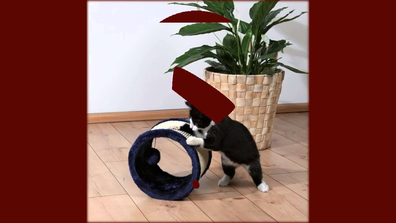 игрушки для котов и кошек - YouTube