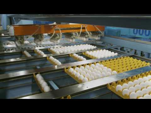 クレスト紹介CM