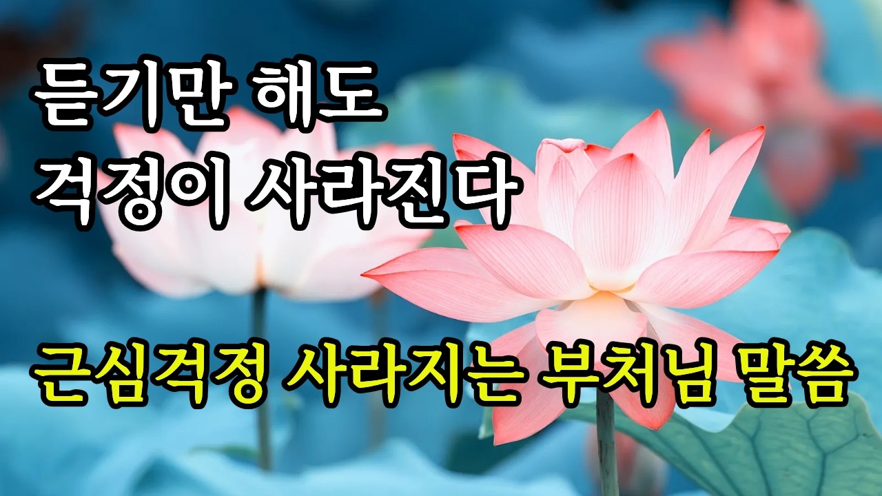 🪷 듣기만 해도 근심걱정 사라지는 부처님 말씀 | 오디오북 | 마음이 지칠 때 | ASMR 낭독 | 마음의 평화 | 오디오북 | 위로와 지혜 | 불교명언 |