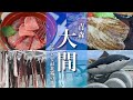 【青森旅行】大間観光！絶品大間のマグロ丼、本州最北端へ到達！